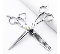 Juego profesional de tijeras de corte de pelo de 6/6,8 pulgadas, tijeras de peluquero de acero inoxidable 440c, Corte afilado y preciso (6 pulgadas - 2pc-E)