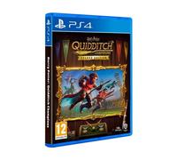 Juego PS4 Harry Potter: Quidditch Champion