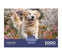 Juego Puzzle 1000 Piezas - Husky en Ruinas de Castillo, Decoración Hogar, Puzzle para Adultos y Niños, 70x50cm