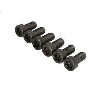 Juego tornillos, volante LUK 411 0256 10 para BMW 3 (E90) 2 2004-2007