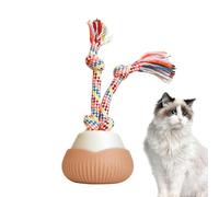Juguete automático para gatos | Automático inteligente recargable tipo C, bolas para gatos con cuerda, para casa, interior, exterior, ejercicio, estimulación mental rascador de suelo juegos