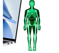 Juguete de anatomía para niños - Modelo de anatomía para niños | Ayuda de aprendizaje esquelético realista interactiva para dentista Doctor Science Student Classroom Home School