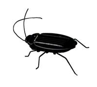 Juguete de energía solar para niños, con energía solar, insectos, saltamontes, regalo para niños, juguetes divertidos, tipo 02