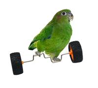 Juguete de entrenamiento para pájaros, juguete interactivo de entrenamiento para pájaros, vehículo de equilibrio de enriquecimiento de inteligencia para exhibición de vidrio, jaula de perca, hogar