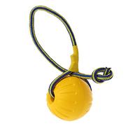 Juguete de entrenamiento para perros y mascotas, pelota de goma resistente a los masticables con cuerda, juego de juguetes para mascotas