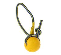 Juguete de entrenamiento para perros y mascotas, pelota de goma resistente a los masticables con cuerda, juego de juguetes para mascotas