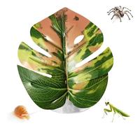Juguete de Hojas para arañas de Saltar - Decoración Realista con Forma de Hoja con - Accesorios para arañas de Saltar - para Cangrejo ermitaño Invernadero Plantas Serpiente Alfombra Huevo