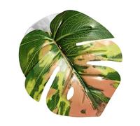 Juguete de Hojas para arañas de Salto, Accesorio simulado con | Accesorios para arañas de Saltar - para Plantas terrario Serpiente ermitaño Huevo de reproducción zoológico pájaro