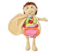 Juguete de órgano corporal 3D - Muñeco de peluche para niños | Conjunto educativo de órganos rellenos de anatomía humana para el aprendizaje en el jardín de infantes, juego de ciencias de concientizac