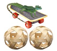 Juguete de pelota alimentadora de tortuga, bola de alimentación de heno de tortuga, monopatín de tortuga, pelota de regalo de tortuga y juego de juguetes de patineta de entrenamiento, pelota de