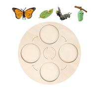 Juguete del kit del ciclo de vida: herramienta de enseñanza de madera natural de 10,2 pulgadas, hardware de lógica científica de desarrollo temprano, mecanismo de demostración colorido en el aula de b
