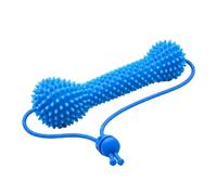 Juguete dental para masticar para perros, palo de cuidado bucal, masticable de limpieza de dientes, juego en interiores, roedor diario, para perros pequeños, medianos y grandes de todas las razas