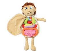 Juguete Didáctico De Anatomía En Con Órganos Para Niños