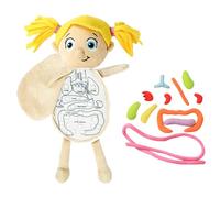 Juguete educativo fisiológico - Anatomía del cuerpo humano, juego de juguetes de órgano 3D | Aprendizaje científico Body Anatomy Awareness Tools Student, Body Organ Awareness Tenking Tools for G