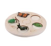 Juguete Educativo Tablero Montessori de ciclo de vida y crecimiento. El tablero de ayuda didáctica de deducción circular está hecho de madera. Educación temprana para niños en edad (Beige2, One Size)