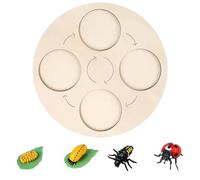 Juguete Educativo Tablero Montessori de ciclo de vida y crecimiento. El tablero de ayuda didáctica de deducción circular está hecho de madera. Educación temprana para niños en edad (Khaki3, One Size)