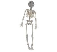 Juguete Esqueleto Posable - Figura De Acción Huesa Humana De 16 Pulgadas Con Articulaciones Móviles | Halween Skull Skeleton Patrón Para Spooky Party, Casa Embrujada, Accesorios De Relleno Decoración