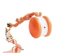 Juguete interactivo para perros, pelota eléctrica interactiva, pelota de juego interactiva para perros, pelota de juguete para perros en movimiento, bola eléctrica, bola autorodante, cola para perros