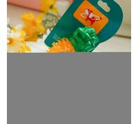 Juguete masticable para cachorros, juguetes de verano para perros con formas de frutas, juguetes de dentición congelables duraderos para cachorros Golden Retrievers, corgis, mastines tibetanos y razas