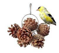 Juguete masticable para loros con piña para pájaros, juguetes para pájaros en busca de alimento, juguetes para masticar con nueces naturales, para jaulas de pájaro, G