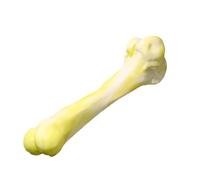 Juguete masticar huesos de perro, Juguete masticar huesos de perro - Juguetes para limpiar los dientes del perro - Juguetes para masticar perros indestructibles, juguetes de mors