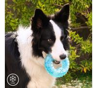 Juguete Mordedor Congelable 2-EN-1 Glubiz para Mascotas - INNOVAGOODS