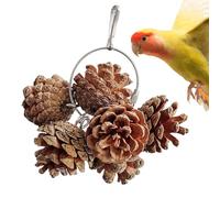 Juguete natural para masticar loros - Tinecone Nueces Naturales Juguete de búsqueda de comida | Jaula de pájaros - Accesorios para Cockatoos, Shotet, Cockatiel, Sol Conure, Lovebird