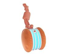 Juguete para masticar para perros con bola de cuerda de interacción con sonidos de pájaros, juguete de actividad con bola rodante para razas de mascotas, juego de búsqueda, interacción para gatos con