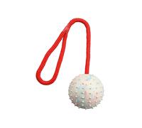 Juguete para perros Trixie Caucho Ø 7 × 30 CM