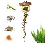 Juguete Trepador Reptiles Terrario Mantis Religiosa