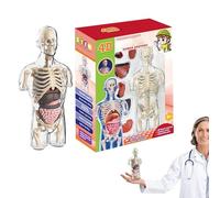 Juguetes de anatomía para niños - Modelo de kit de ciencia cuerpo humano, conjunto de aprendizaje de ensamblaje educativo | Detalle interactivo del diseño de la estructura órgano, propósito de