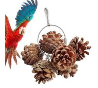Juguetes de forrajeo de loros - Juguete de masticación de nueces de piña, accesorios de enriquecimiento de jaula colgante | Juego de juguetes para pájaros naturales, trato interactivo Rompecabezas Per