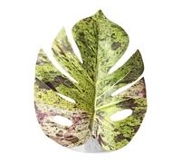 Juguetes de hojas de araña saltando: forma de hoja realista, decoración de hábitat, con sólida, accesorio para vivienda de mascotas | Refugio natural para cangrejo ermitaño, plantas de
