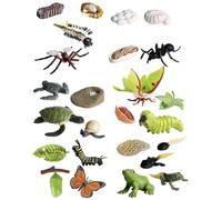 Juguetes del ciclo de vida de los animales - Conjunto de figuras claras, Animales de juego educativos, modelos realistas | educación Cognition Ciclo de crecimiento Mariposa Rana tortuga