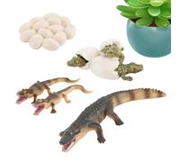 Juguetes del ciclo vital animal Decoración modelo