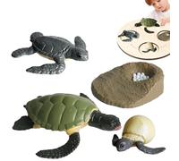 Juguetes Del Ciclo Vital De Los Insectos - Juego Educativo De Figuras Realistas De PP | Modelos De Aprendizaje De Las Etapas De Crecimiento Animal | Juguete Científico De Ayuda Didáctica Para Niños |