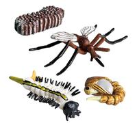 Juguetes Del Ciclo Vital De Los Insectos - Juego Educativo De Figuras Realistas De PP | Modelos De Aprendizaje De Las Etapas De Crecimiento Animal | Juguete Científico De Ayuda Didáctica Para Niños |