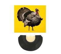 Juguetes divertidos para silbatos para pájaros, silbatos para pájaros | Juguetes Noisemaker de colores brillantes - Creadores de ruido divertidos y creativos únicos para las celebraciones del primero