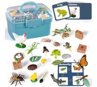 Juguetes educativos de ciclo de vida para niños: juegos de aprendizaje de ciencias biológicas con mariposa, rana, pollo, mantis religiosa, abeja, plantas, 25 números Montessori animales juguetes para