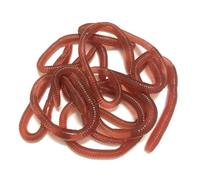 Juguetes Elásticos para Mordaza De , 10 Figuras De Lombrices De Tierra Flexibles, Accesorios De Broma Prácticos Y Realistas | Divertidos Accesorios De Trucos Reutilizables para Familiares, Amig