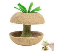 Juguetes masticables para hámsteres: golosinas en forma de fruta, trozos de madera natural, paquete de actividades para animales pequeños, juego de enriquecimiento de roer de larga duración, perfecto