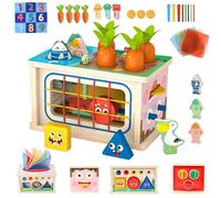 Juguetes Montessori 1 Años para Niños, 9 en 1 Juguetes de Madera Cubo de Actividades, Juego Educativo con Pesca, Zanahorias, Tirar del Papel, Juguete de Clasificación, Regalo Cumpleaños 1 2 3 Años