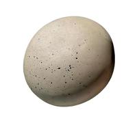 Juguetes Para Cachorros - Mordedor Canino, Accesorio Interactivo Con Caucho Natural, Artículo Resistente Con Textura Flexible, Suministro Mascota, Herramienta Entrenamiento Juvenil Dentición Uso Diari