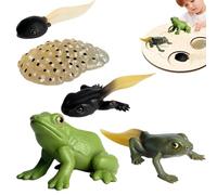 Juguetes para Insectos: Ciclo de Vida de la | Ciclo Educativo de Crecimiento de Insectos: Modelos de Vida de simulados, Que Incluyen Polilla Lunar, Tortuga, Hormiga obrera,