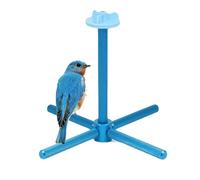 Juguetes Para Loros | Giratorio Para Morder Interactivo Divertido | Juguetes Interactivos Para Aves Con Posadero Para Cacatúas - Para Ejercicio Juego Pequeñas Medianas Grandes Agapornis Canarios Jaula