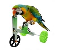 Juguetes Para Loros Puzle de Entrenamiento e Inteligencia con Bicicleta
