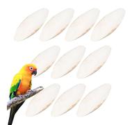 Juguetes para mordedores de loros, 10 unidades grandes de sepia, cuencos de sepia calamar, cuencos de sepia naturales, juguetes para mordedores, loros, tortugas, accesorios para pájaros, reptiles,
