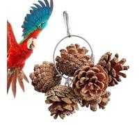 Juguetes para pájaros para masticar conures | Juguetes para masticar piñas y nueces, accesorios de jaula de pájaros para cacatúas, periquitos, cacatúas, conuras de sol, tortolitos
