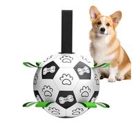 Juguetes Para Perros Con Bola | Juego Interactivo Robusto - Juguete Al Aire Libre Para Cachorro | Para Entrenamiento Al Aire Libre En El Parque Tiempo De Juego Ejercicio Familiar Y Recreación