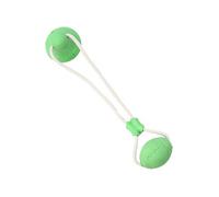 Juguetes para Perros - Juguete automático Interactivo para Mascotas y Jugar, del aburrimiento de Cachorros, Ayuda, Juego de tirón, Actividad Interior Divertida, Ejercicio para el